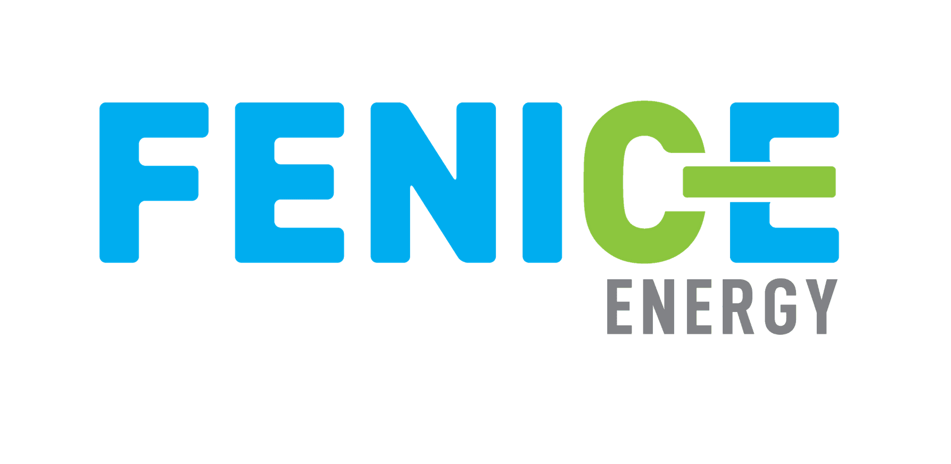 Our Client: Fenice